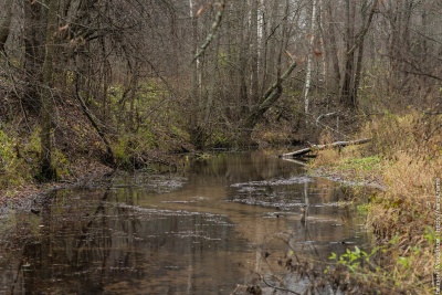 Серебряные ключи - 4.jpg